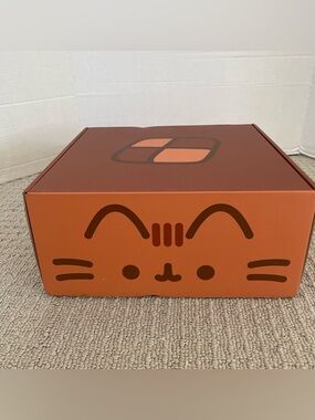 Pusheen subscription summer 2025 sweet treats box